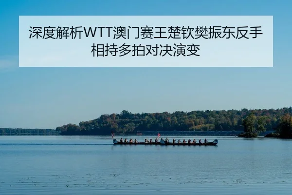 深度解析WTT澳门赛王楚钦樊振东反手相持多拍对决演变